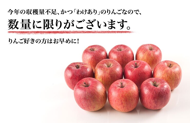今年の収量不足、かつ、「ワケあり」のリンゴなので、数量に限りがございます。リンゴ好きの方はお早めに!