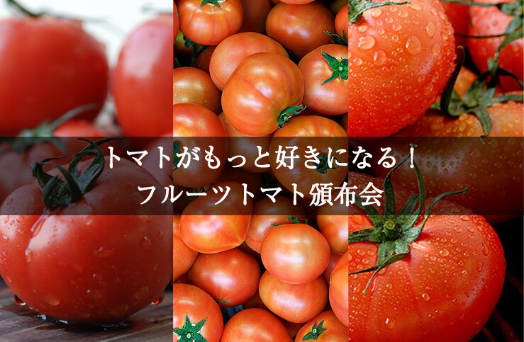 フルーツトマト頒布会 ｏｉｓｉｘ産直おとりよせ市場