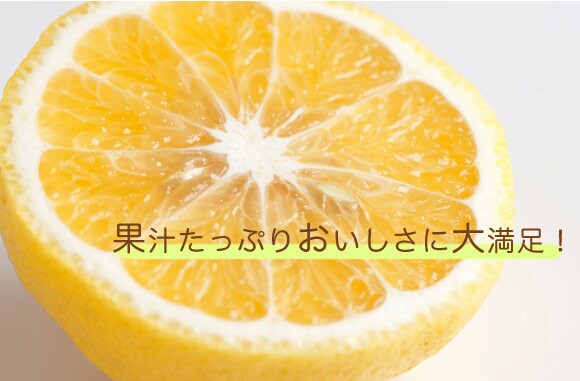 有機栽培 完熟はるか ｜ Oisix産直おとりよせ市場