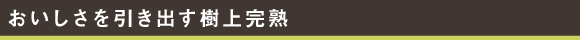 おいしさを引き出す樹上完熟