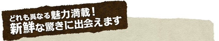 ǂقȂ閣͖ځIVNȋɏo܂