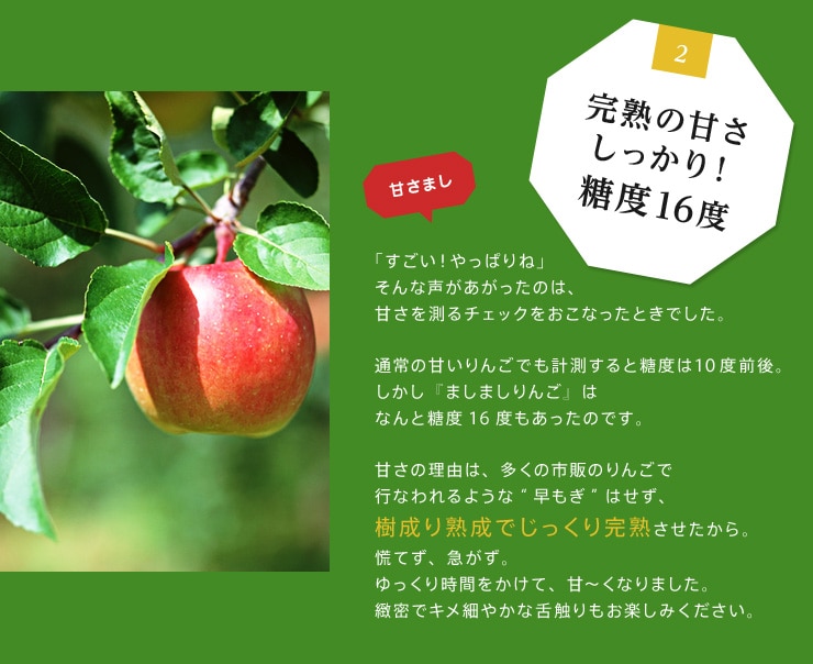 ましましりんご ｜ Oisix産直おとりよせ市場