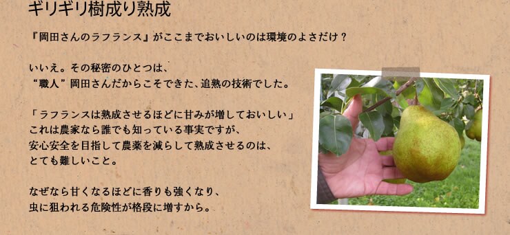 ギリギリ樹成り熟成