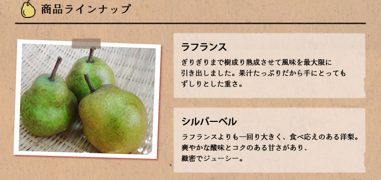 商品ラインナップ