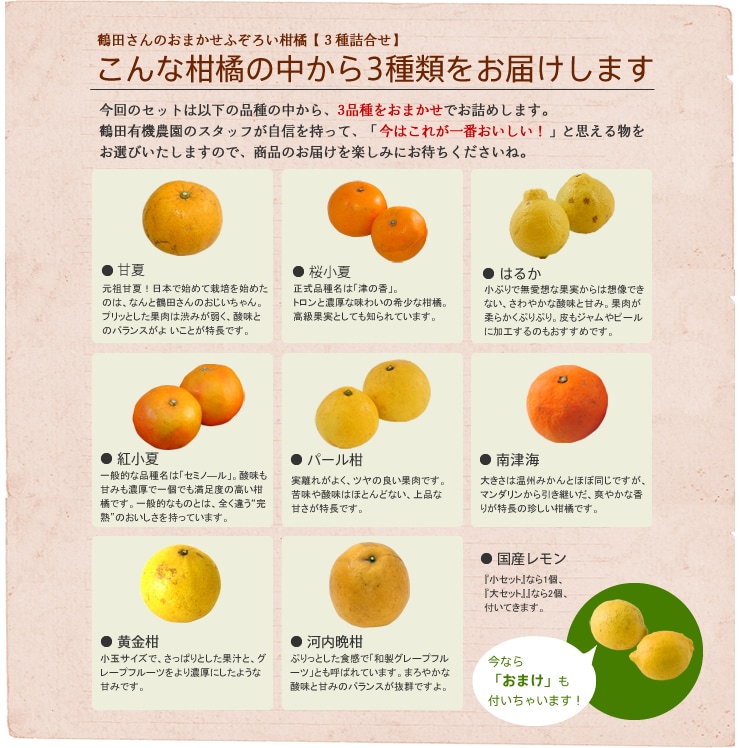 鶴田さんの秘蔵っこ柑橘便 ｏｉｓｉｘ産直おとりよせ市場