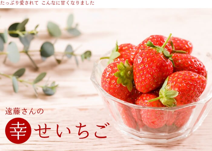 遠藤さんの幸せいちご ｜ Oisix産直おとりよせ市場