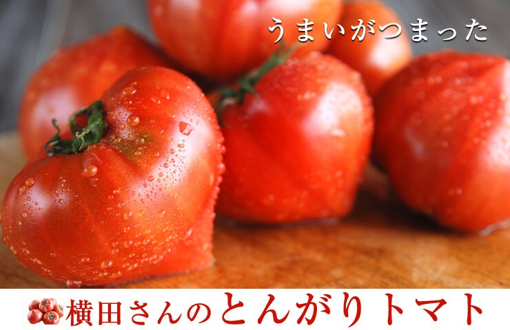 ���m������g���c����̂Ƃ񂪂�g�}�g���Y�n�����I