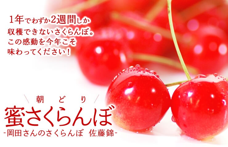 R`gc̒ǂ薨ځhYnI