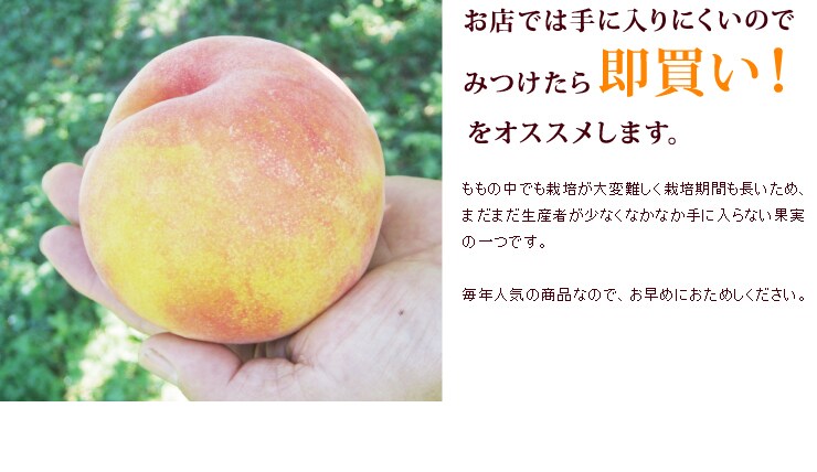 �݂����瑦�����I