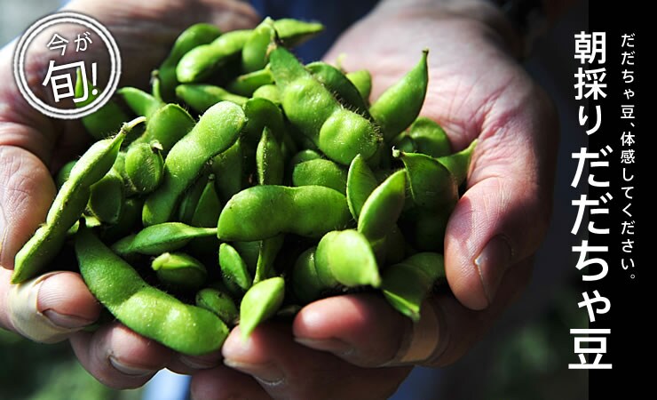 ���R�������ᓤ���R�`��肨�͂��B