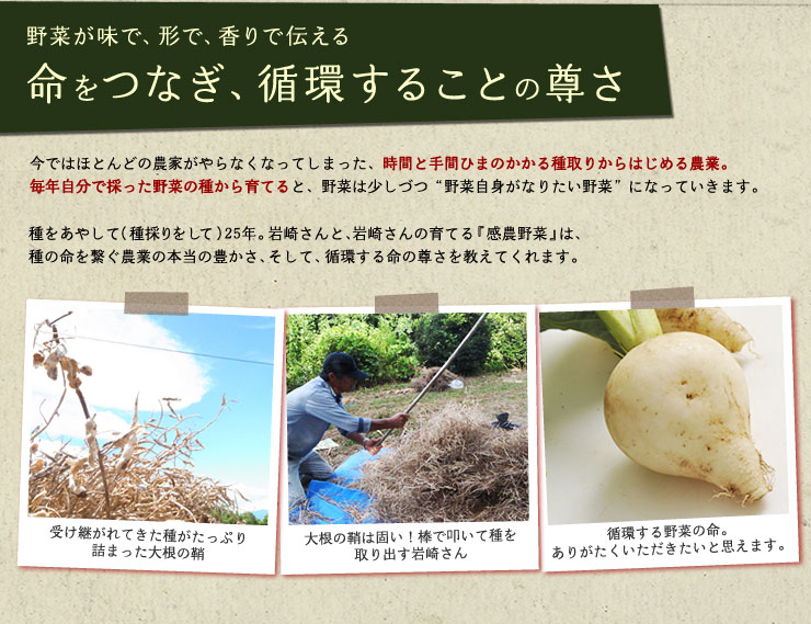 ȂAz邱Ƃ̑
