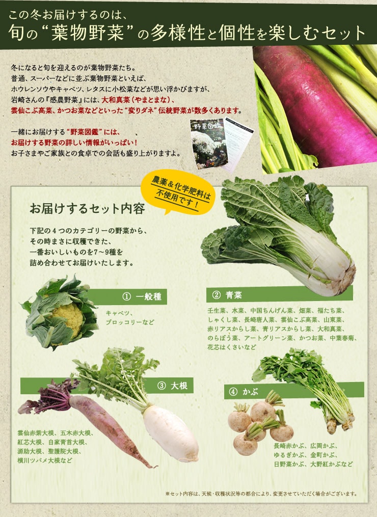 感農野菜 冬 青菜の多様性 ｏｉｓｉｘ産直おとりよせ市場