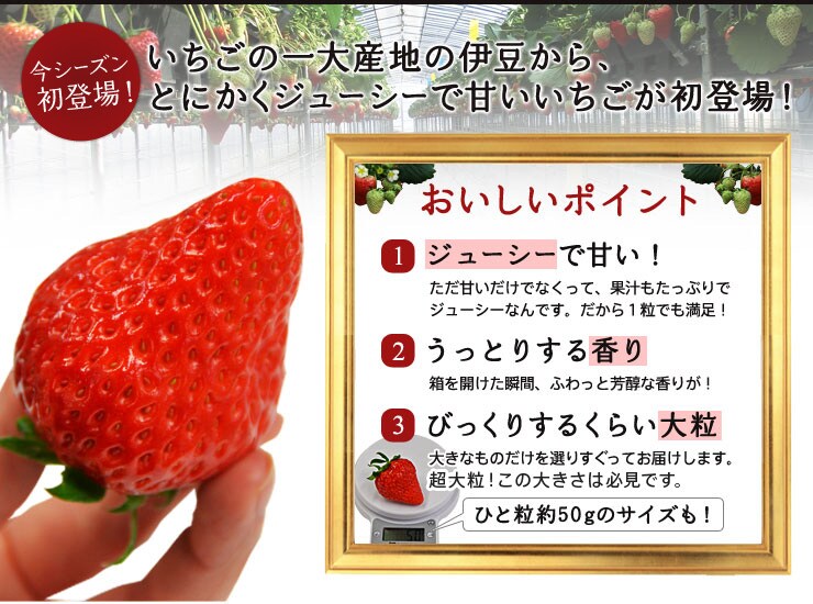 �ɓ��̂������嗱�g�ق��؁i�É����Y�j