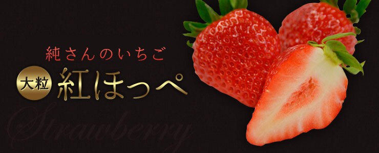 �ɓ��̂������嗱�g�ق��؁i�É����Y�j