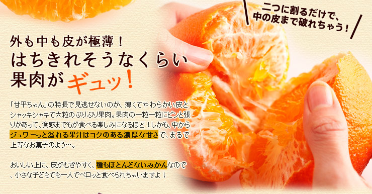 Amazon.co.jp: 希望の島 プリマドンナ 愛媛果試第48号 (贈答用
