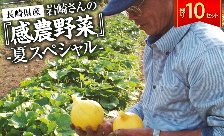 夏野菜 楽天市場】売れています！信頼の証！【夏野菜】【ズッキー二】1