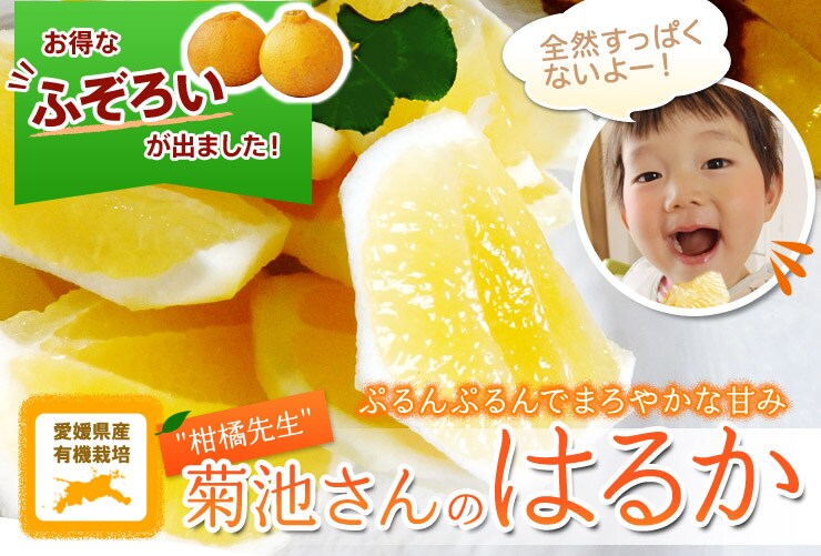 菊池さんのはるか oisix産直おとりよせ市場 oisix産直おとりよせ市場 菊池さんのはるか oisix産直おとりよせ市場 oisix産直おとりよせ市場