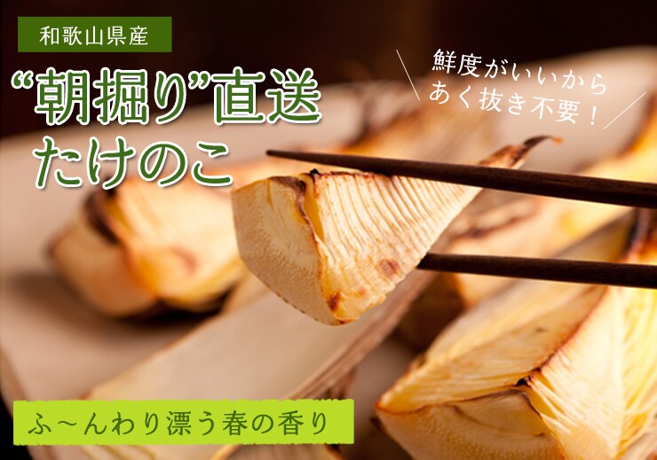 朝掘直送たけのこ｜ Oisix産直おとりよせ市場