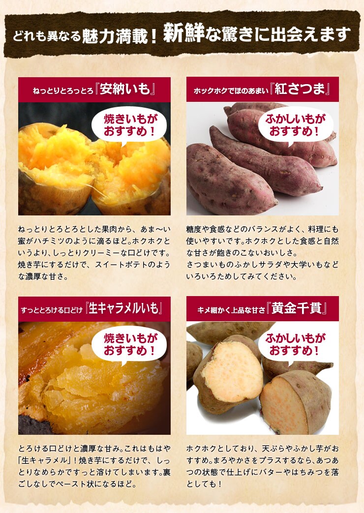 ǂقȂ閣͖ځIVNȋɏo܂