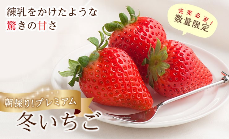 プレミアム 完熟あまおとめ｜ Oisix産直おとりよせ市場