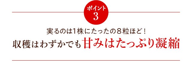 埼玉県産 彩のあまりん ｏｉｓｉｘ産直おとりよせ市場