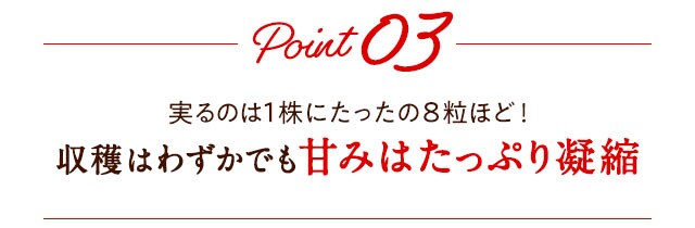 あまりん oisix産直おとりよせ市場 あまりん oisix産直おとりよせ市場