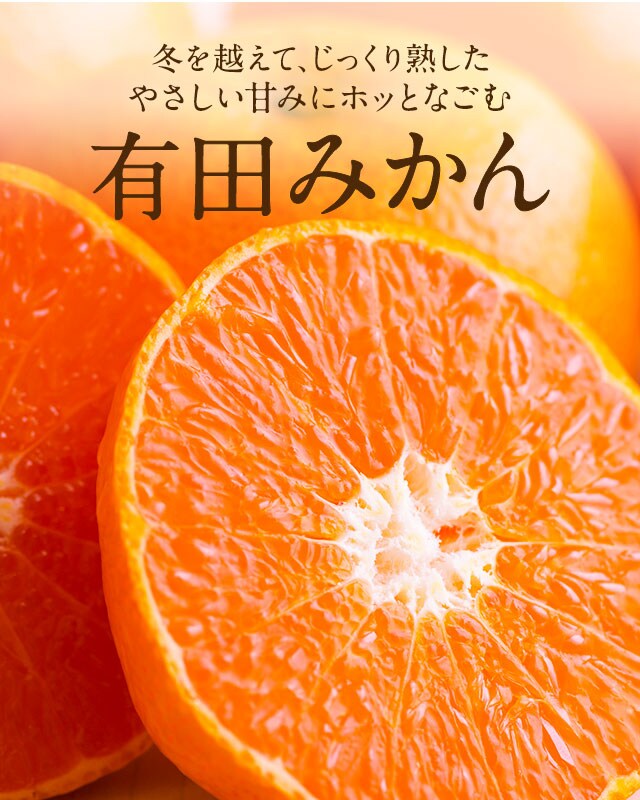 樹上で越冬させた皮のうすい完熟有田みかん oisix産直おとりよせ市場 樹上で越冬させた皮のうすい完熟有田みかん oisix産直おとりよせ市場
