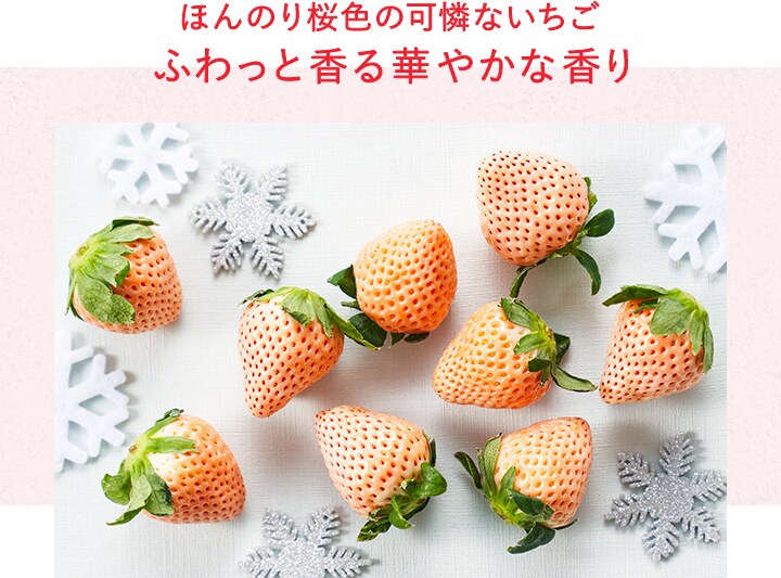 超激得即納 いちご様 ご専用の為 お買い上げ出来ません rybak-rybaka.ru