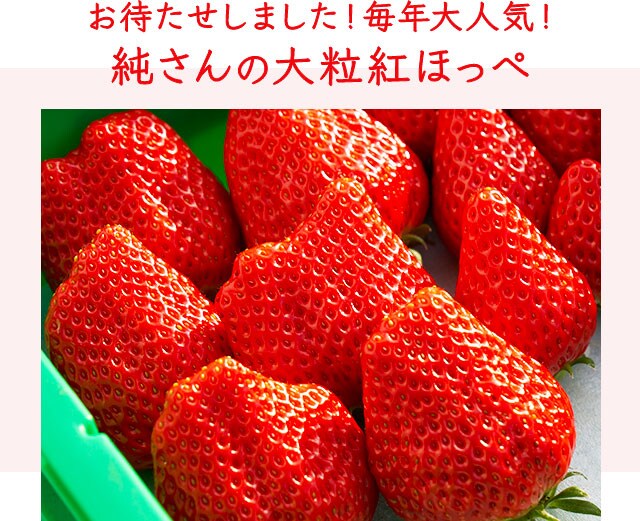 純さんの愛情たっぷり 紅ほっぺ ｏｉｓｉｘ産直おとりよせ市場