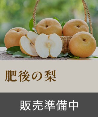 「肥後の梨」ご購入はこちら