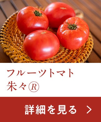 �u�����x�t���[�c�g�}�g��X�v���w���͂�����