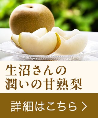 �u��������̏����̊Ïn���H�ה�וցv���w���͂�����