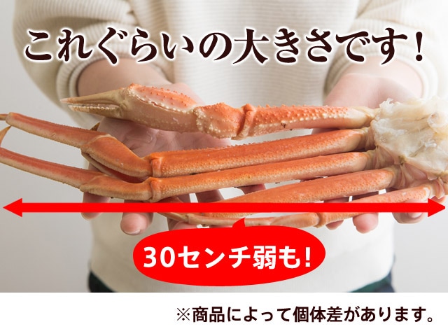 たらば蟹様♡専用ページ □ボイル本たらばがに 太脚シュリンクパック 4L総重量800g