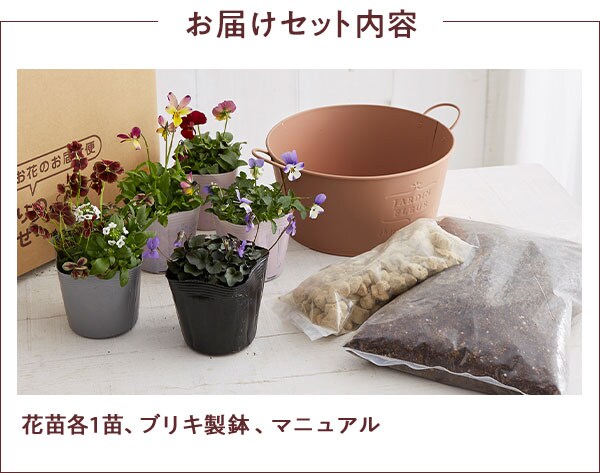 寄せ植えガーデン ｏｉｓｉｘ産直おとりよせ市場