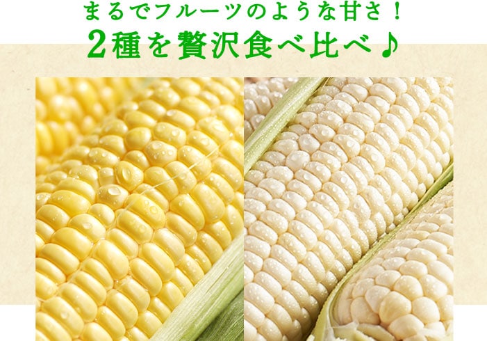 フルーツコーン2種食べ比べ10本｜ Oisix産直おとりよせ市場