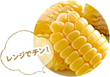 とうもろこしページ 9993739【ハチマルペット商会】とうもろこし 300g 鳥専門店 BIRD