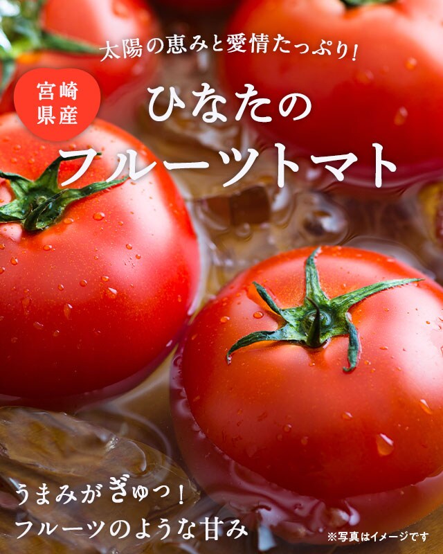 SALE／91%OFF】 静岡県産L～2L極甘フルーツトマト