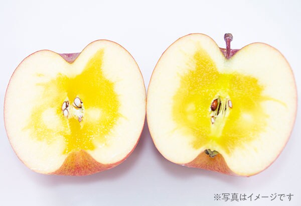 冬恋りんご ｏｉｓｉｘ産直おとりよせ市場