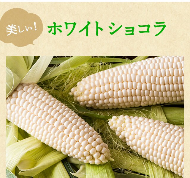 長崎県産 極生フルーツコーン ｏｉｓｉｘ産直おとりよせ市場