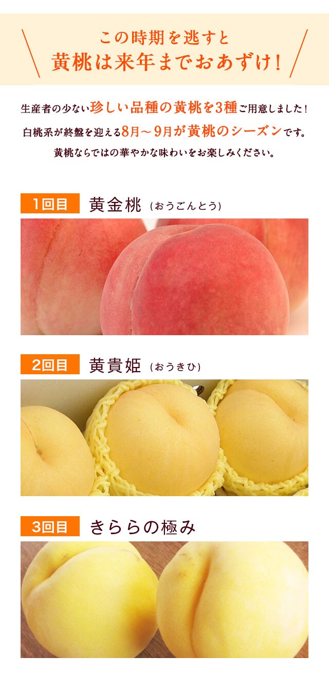 幸せの黄色い桃 ｏｉｓｉｘ産直おとりよせ市場