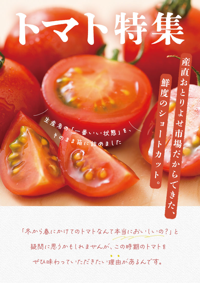 �g�}�g���W