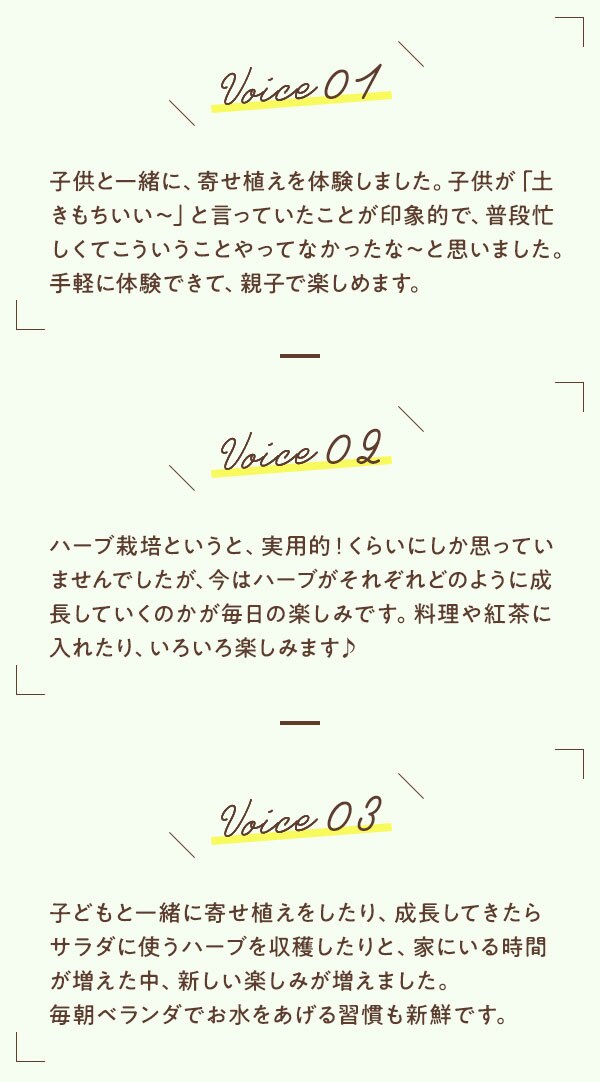 ハーブ苗寄せ植えセット oisix産直おとりよせ市場 ハーブ苗寄せ植えセット oisix産直おとりよせ市場