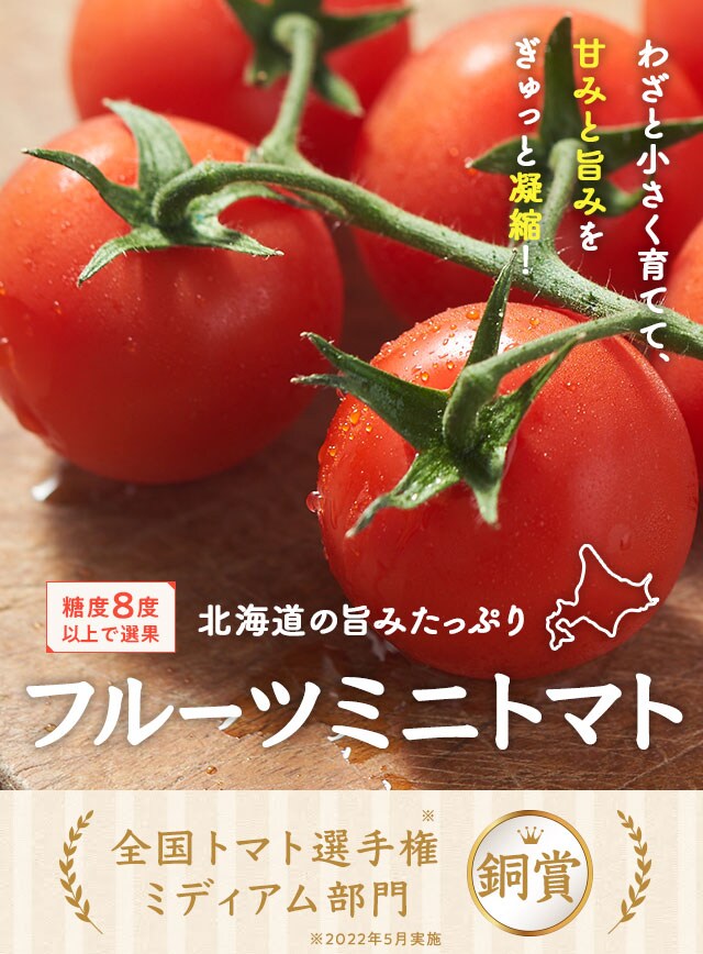 今 話題 の 人気 商品 sc1-hokkaido- メンテナンス