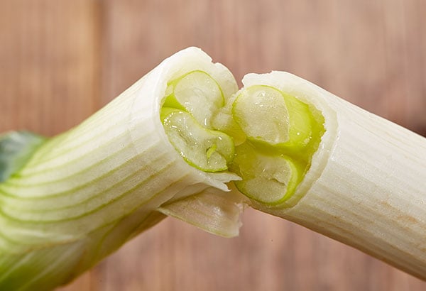 天空の城・竹田城の麓で育った朝来特産 岩津ねぎ｜ Oisix産直
