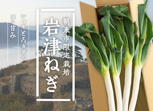 天空の城・竹田城の麓で育った朝来特産 岩津ねぎ｜ Oisix産直