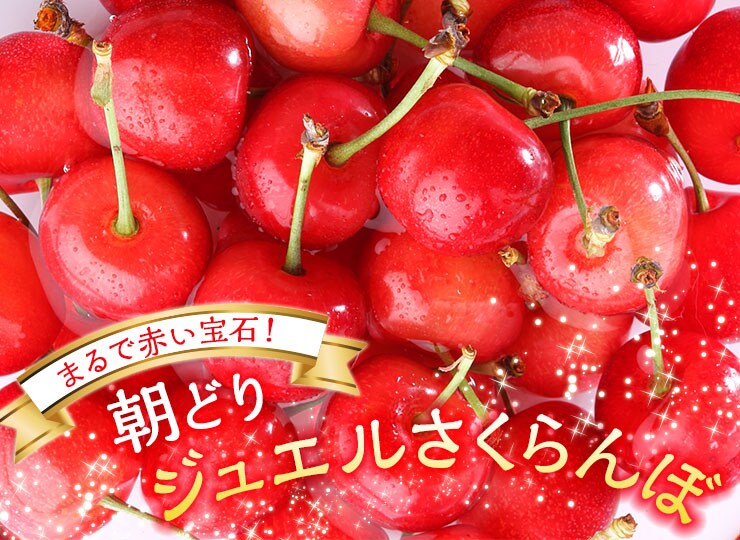 朝どりジュエルさくらんぼ｜ Oisix産直おとりよせ市場