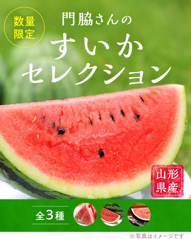 99%OFF!】 熊本県産すいかグミ まるごとスイカ飴 11点まとめ売り⑤