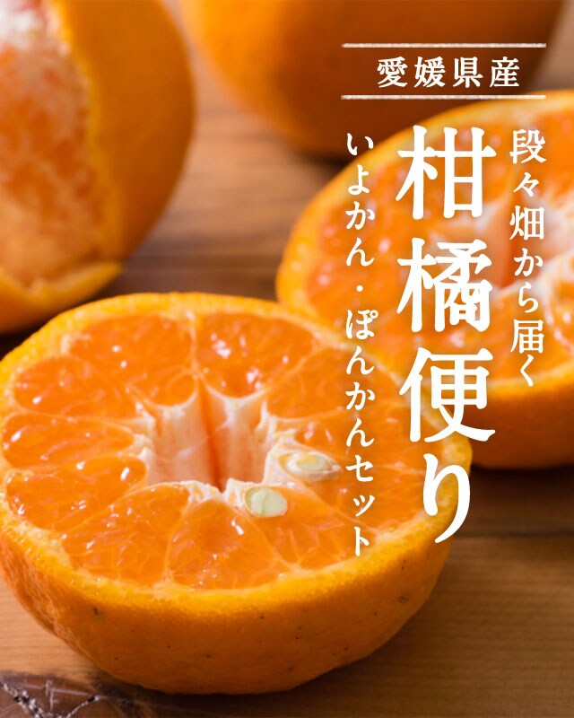 愛媛柑橘便り 単品｜ Oisix産直おとりよせ市場