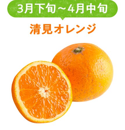 段々畑から届く柑橘便り ｏｉｓｉｘ産直おとりよせ市場