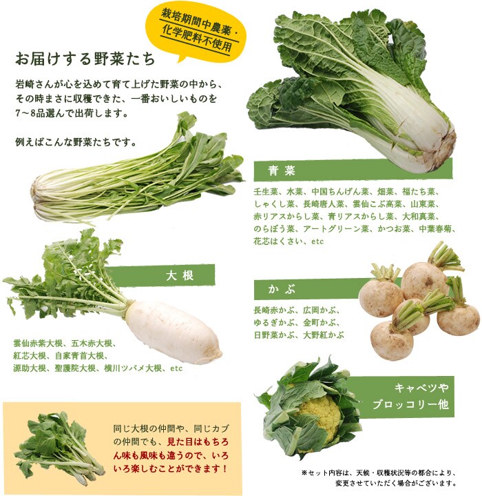 岩崎さんの『感農野菜』｜ Oisix産直おとりよせ市場